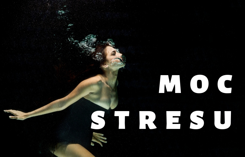 BLOG Stres nie jest stresujący